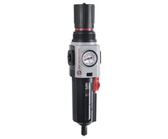 Filtro-regulador Excelon Plus, G1/4", 40 µm, 0.3-10 bar, purga manual-image
